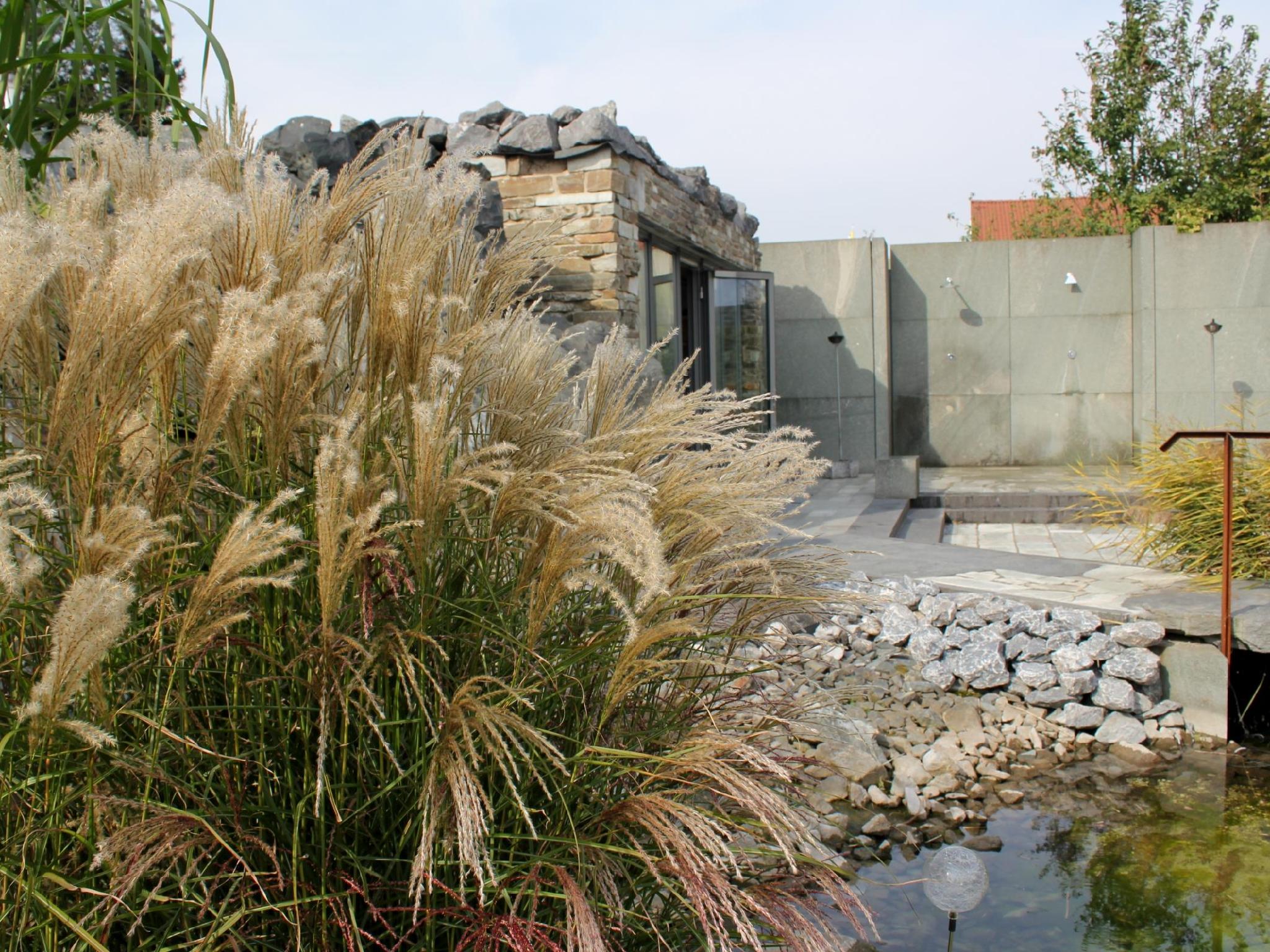 cantera by Wiegand 写真