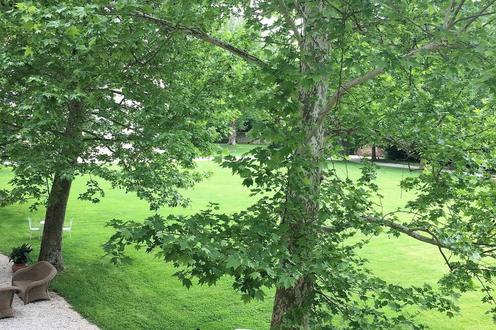 ラ バルケッサ ディ ヴィラ ピサニ 写真