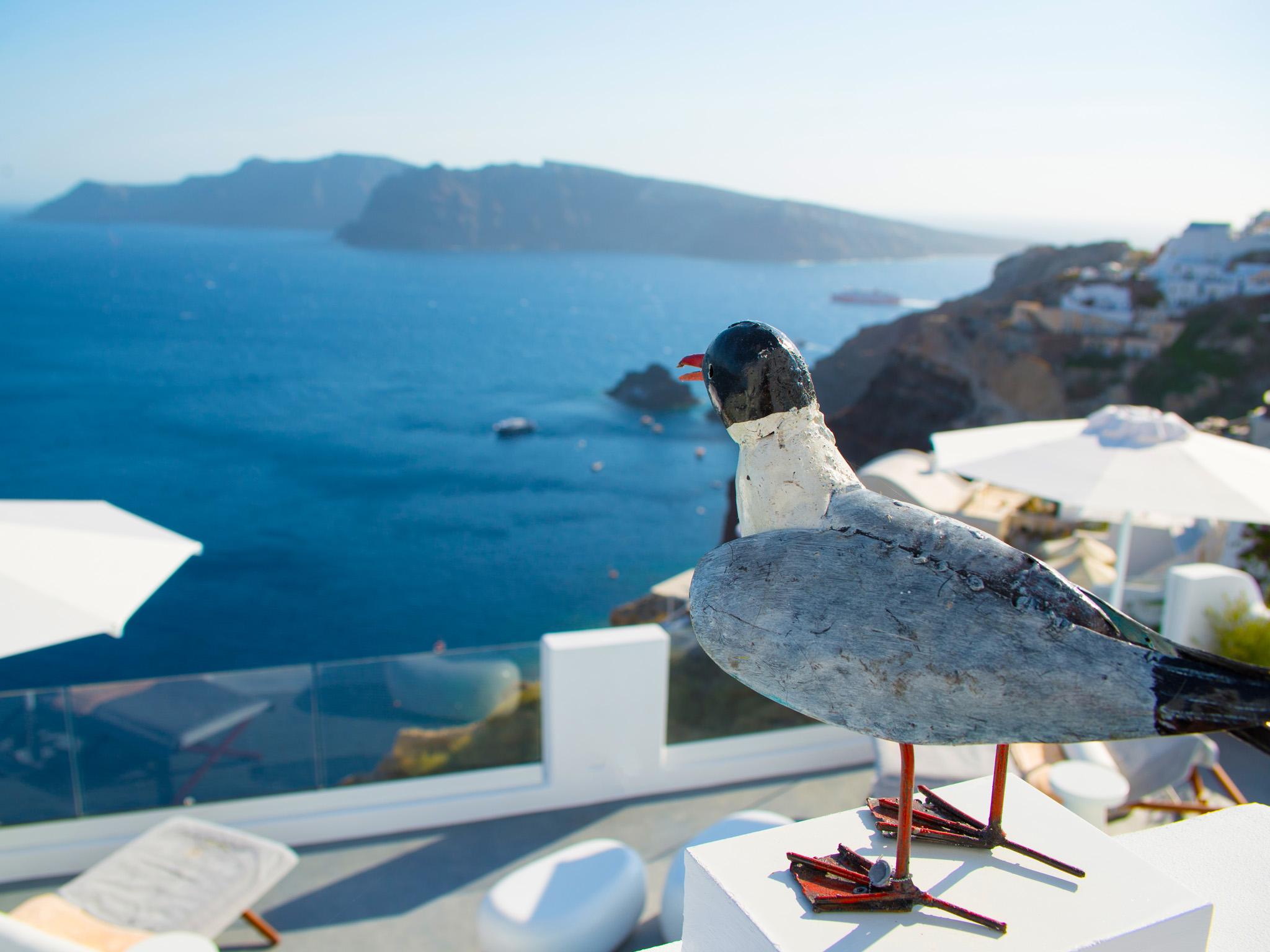 カナベス サンデー 写真