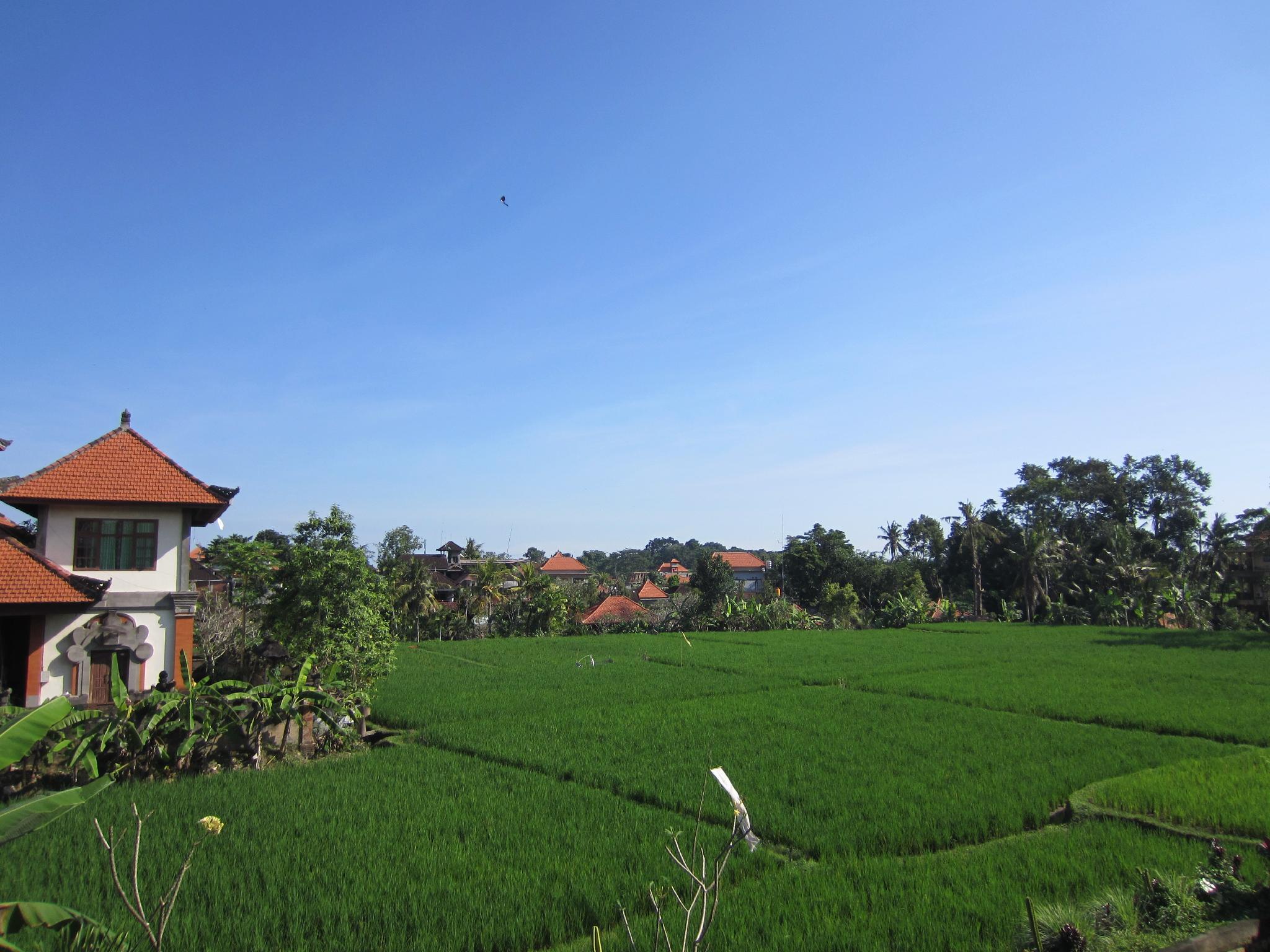 ダナサリ ホームステイ 写真