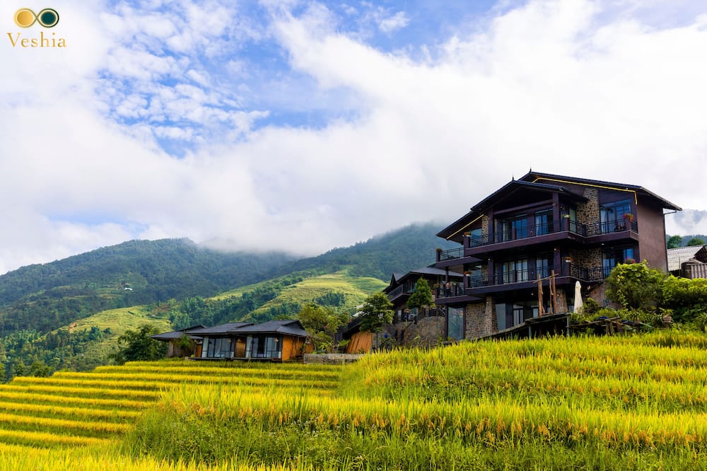 ブラックシップサパ 写真