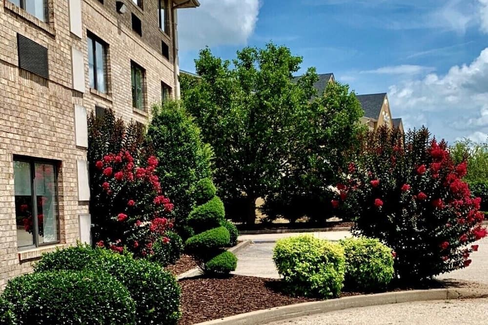 ラマダ リミテッド マウント スターリング 写真