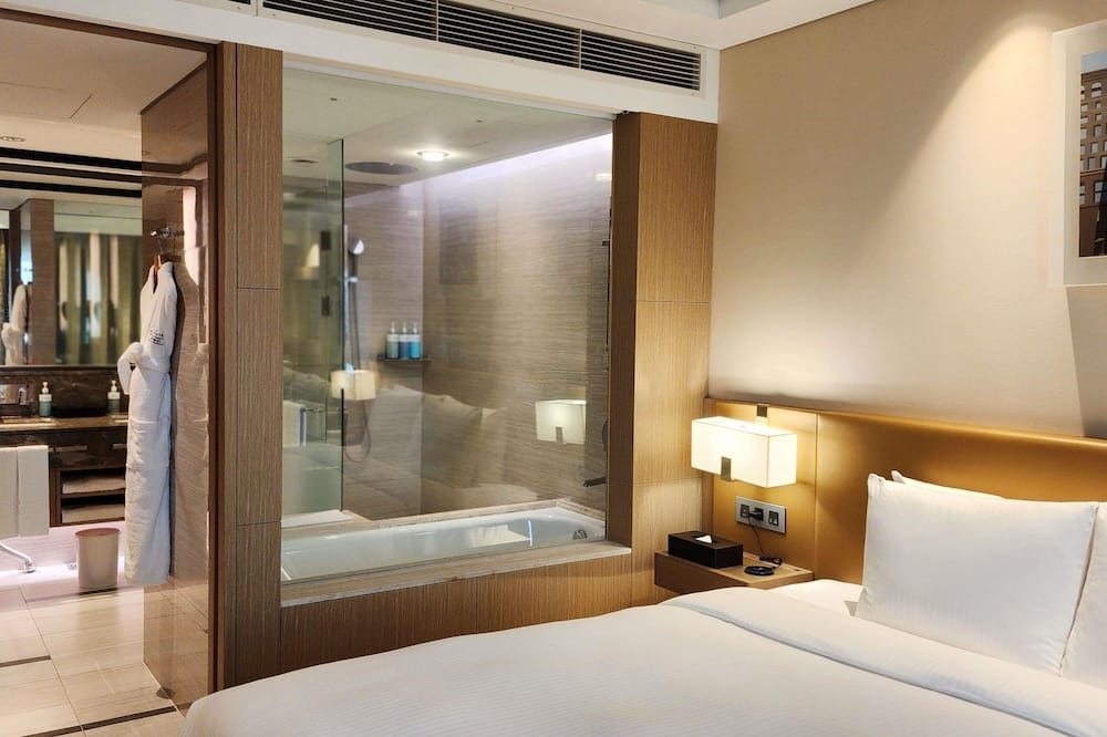 ノボテル アンバサダー ソウル カンナム 写真