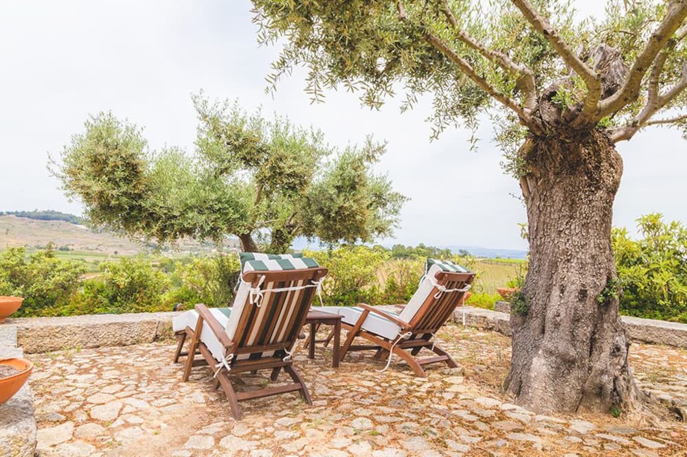 Quinta da Barroca 写真