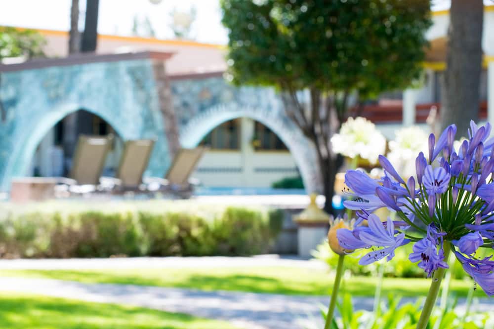 インペリオ デ アンヘレス 写真