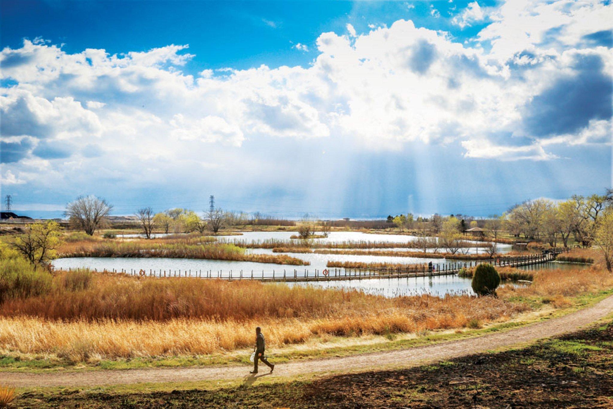 ホリデイ イン デンバー イースト バイ IHG 写真