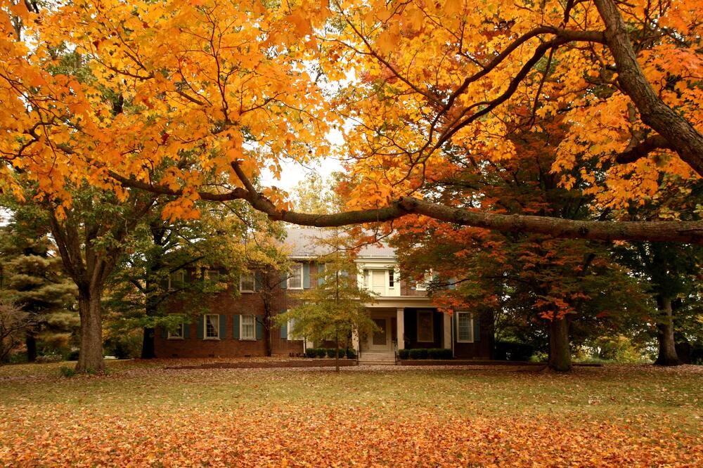 チャード オークス イン 写真