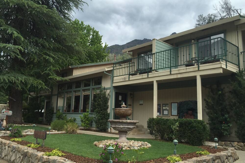 シダー ロッジ 写真