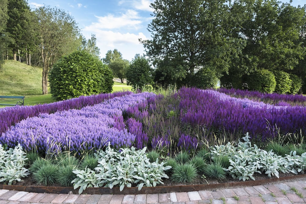 Sankt Jörgen Park Resort 写真