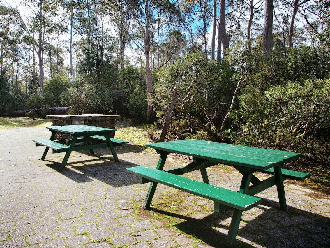 ディスカバリー パークス - クレイドル マウンテン 写真