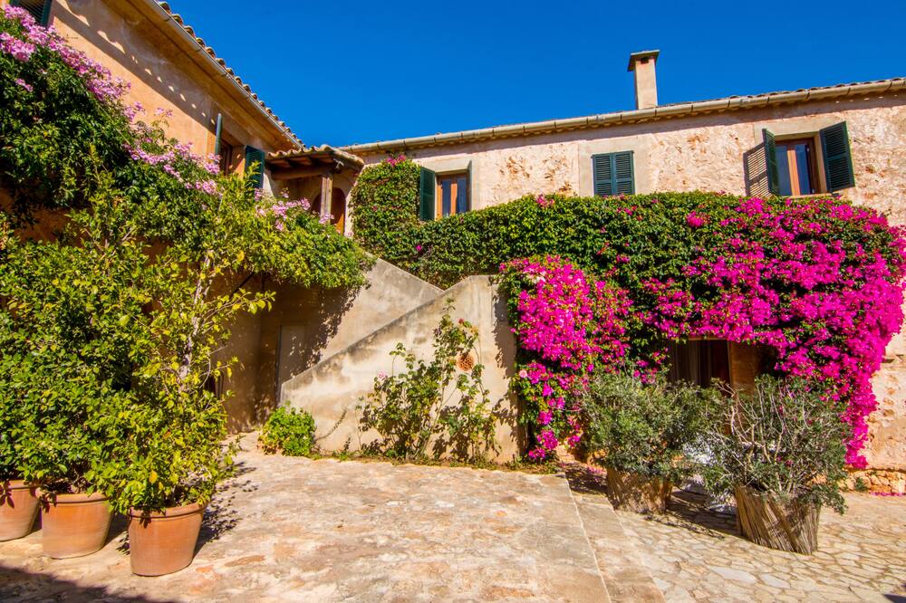 Agroturismo Son Perdiu 写真