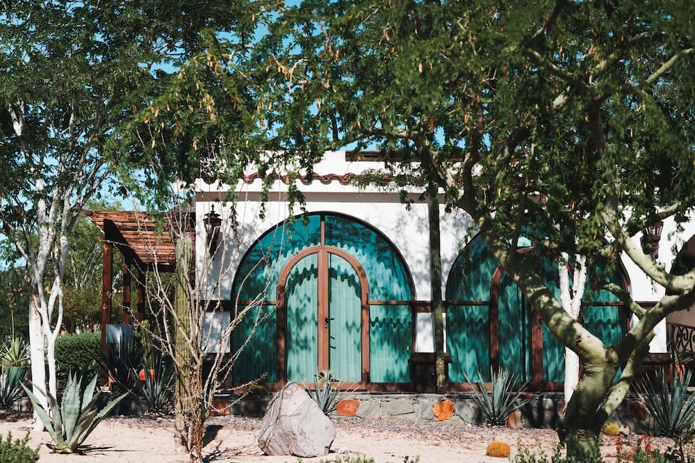 Orchid House Baja 写真