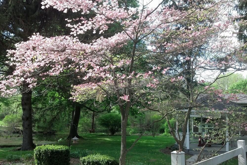 ジェネシー カントリー イン B&B 写真