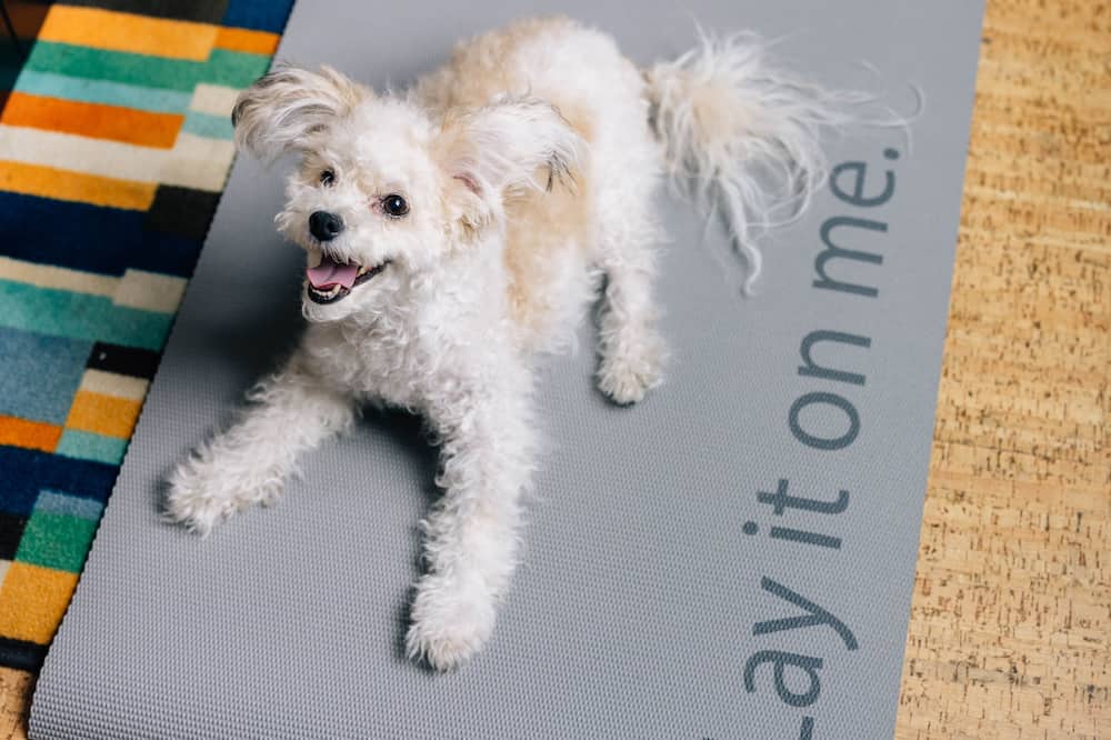 イーブン ホテル ニューヨーク ミッドタウン イースト バイ IHG 写真