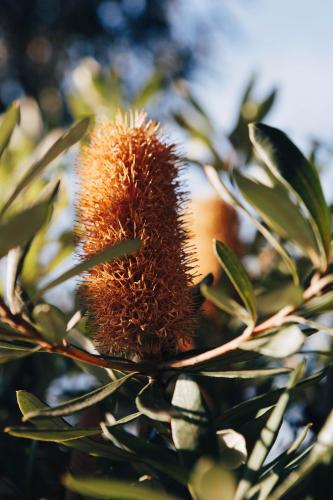 ロイヤル メール ホテル 写真
