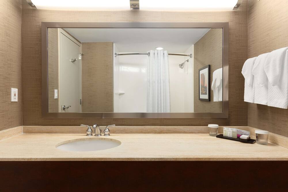 Embassy Suites by Hilton Baltimore at BWI Airport 写真