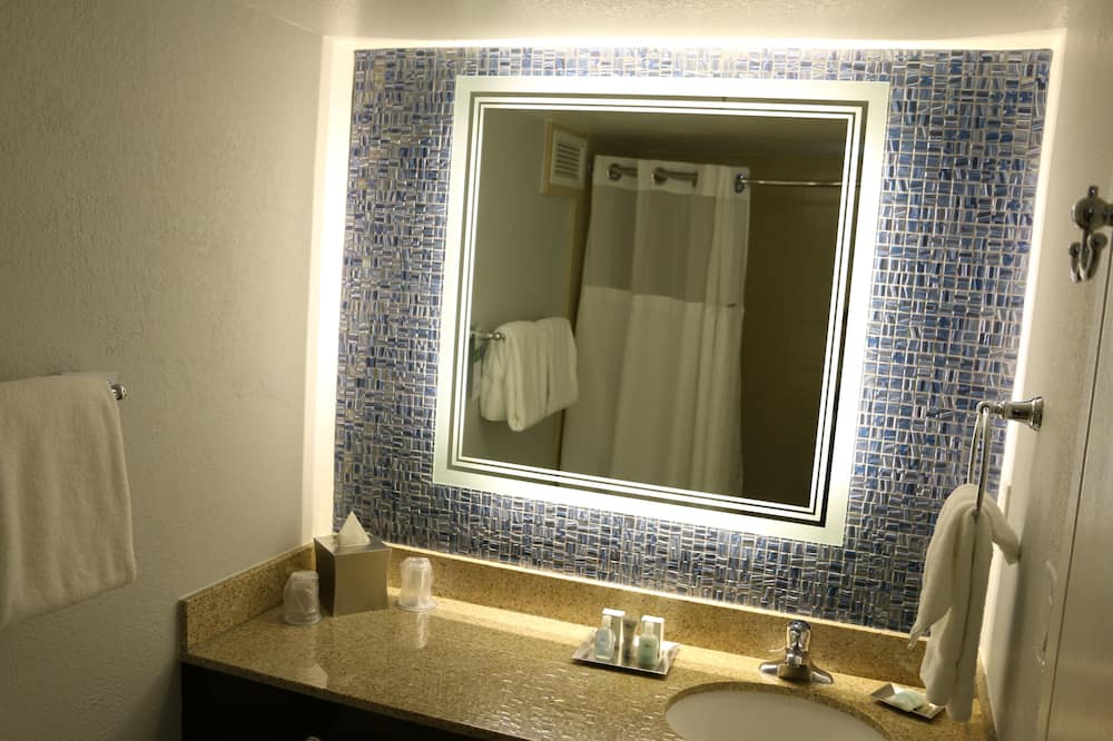 ウィンダム レイク ブエナ ビスタ ディズニー スプリングス エリア 写真