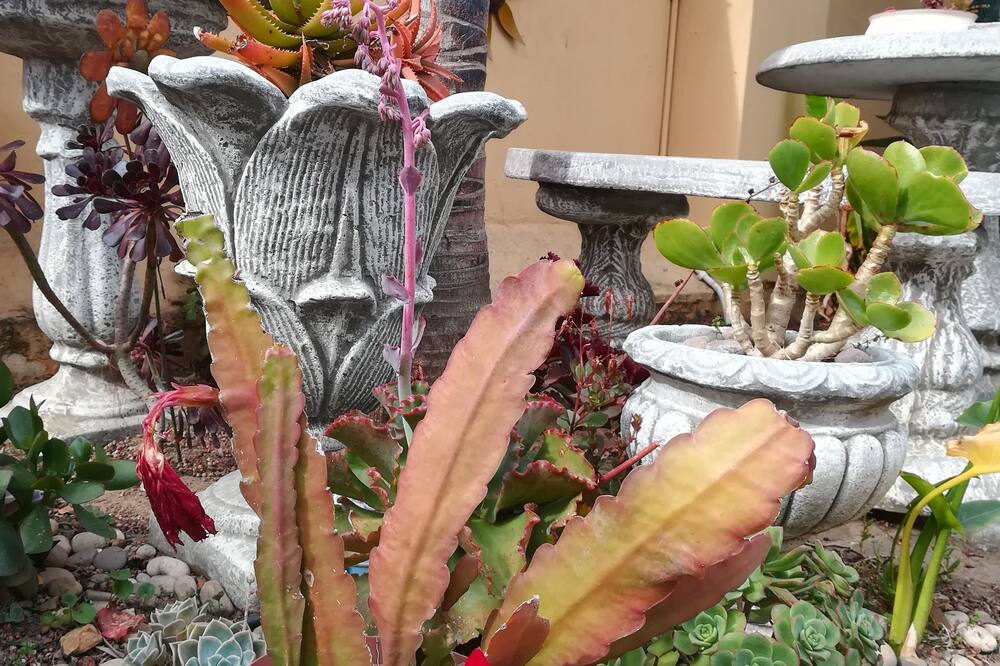 ア サンフラワー ストップ バックパッカーズ 写真