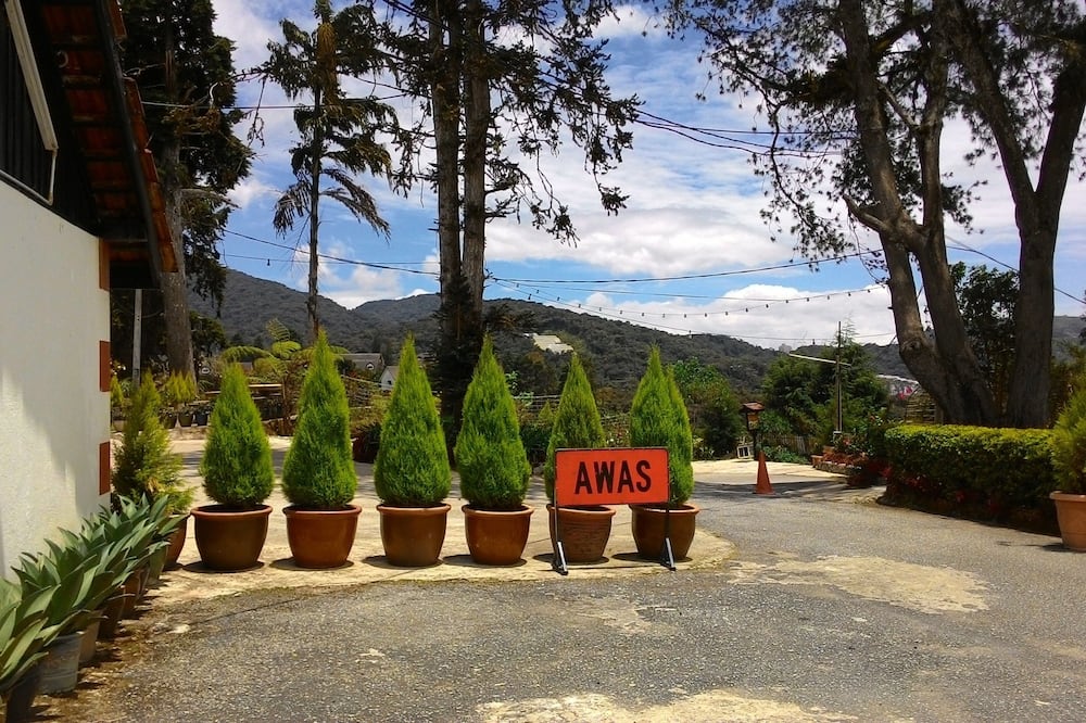 サンライト スイート 写真