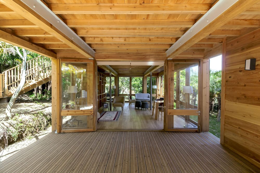 アズール シングラー 写真