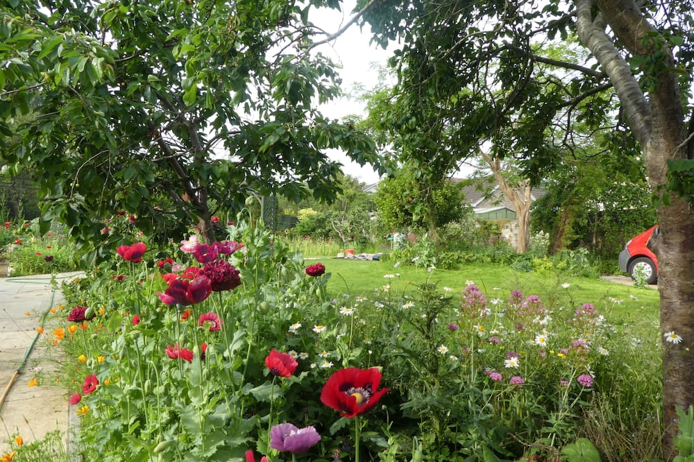 The School House 写真