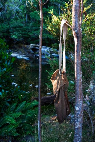 Tyenna River Cottages 写真