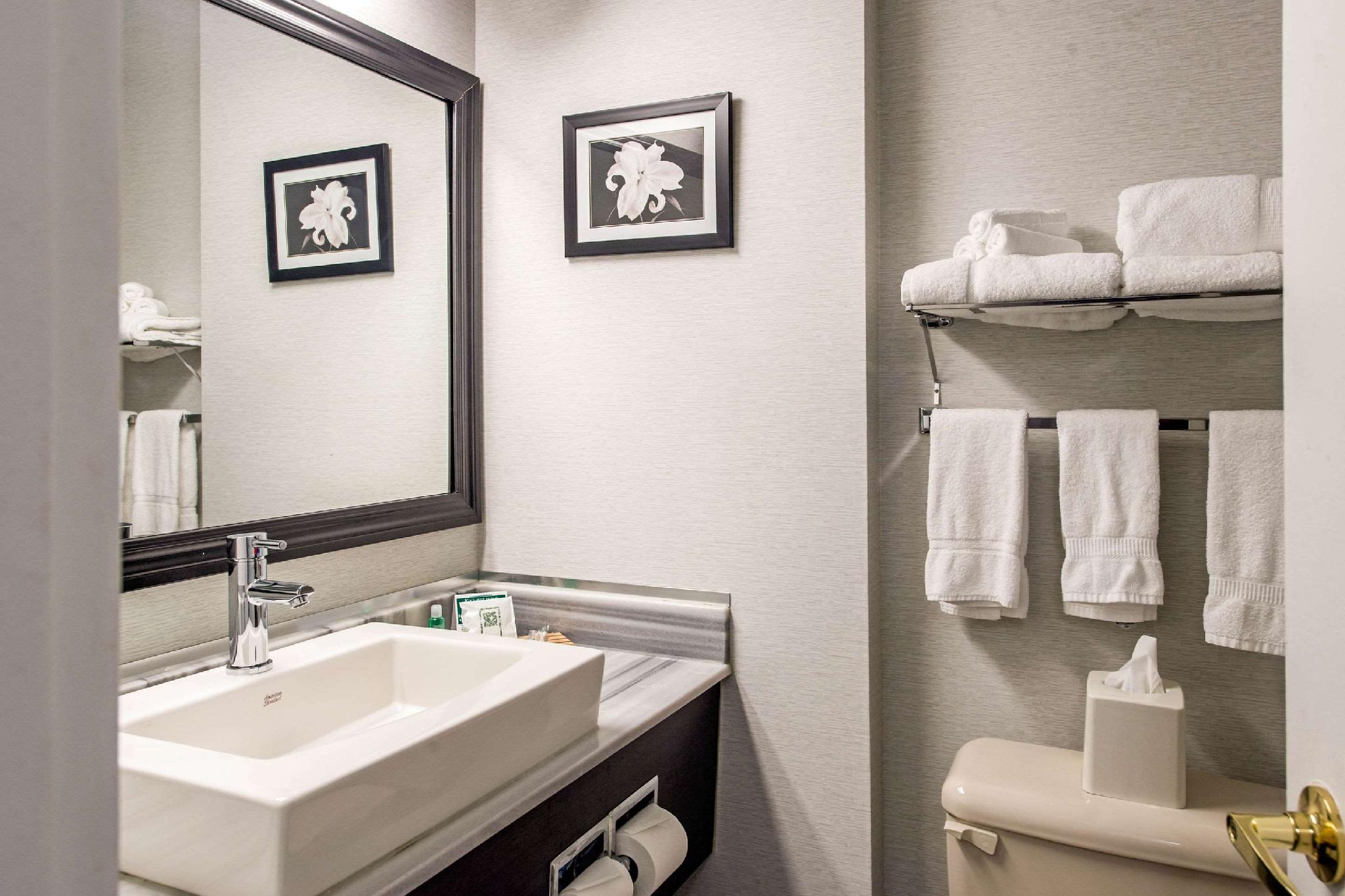 Quality Inn & Suites 写真