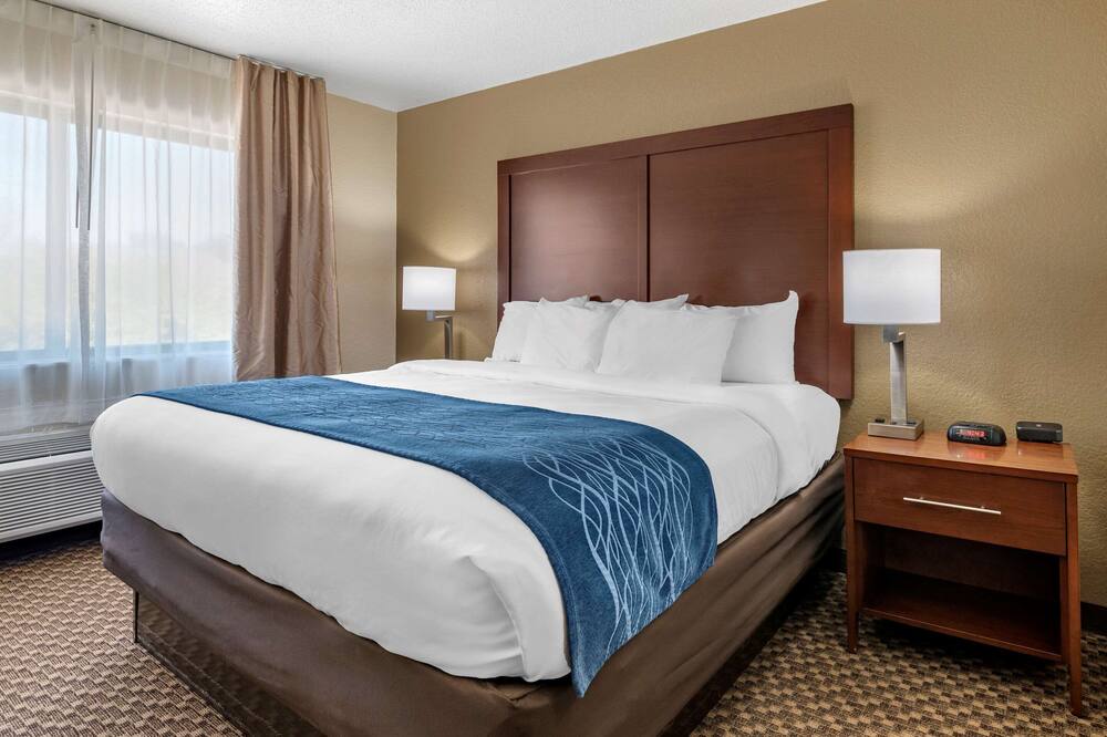 コンフォート イン ニア ココモ スピードウェイ 写真