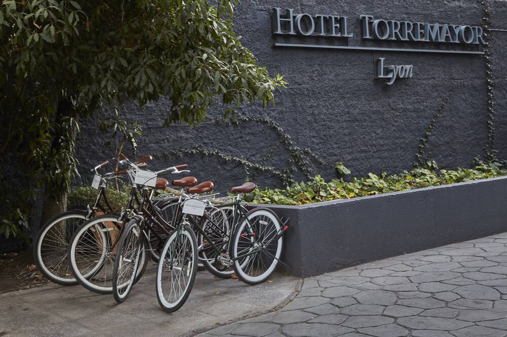 Hotel Torremayor Lyon 写真