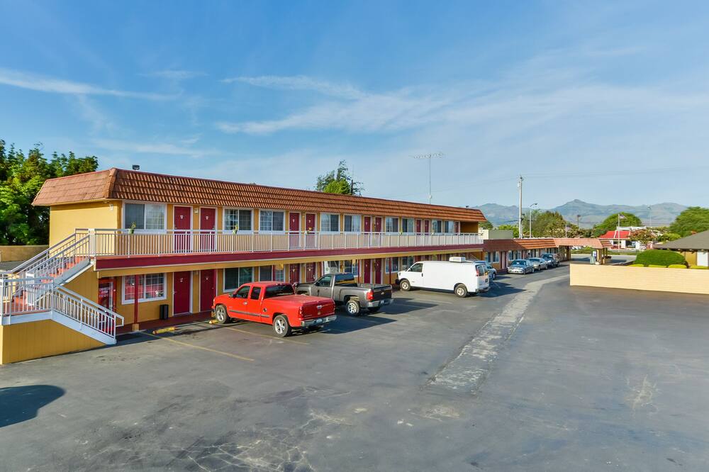 ホリスター イン 写真