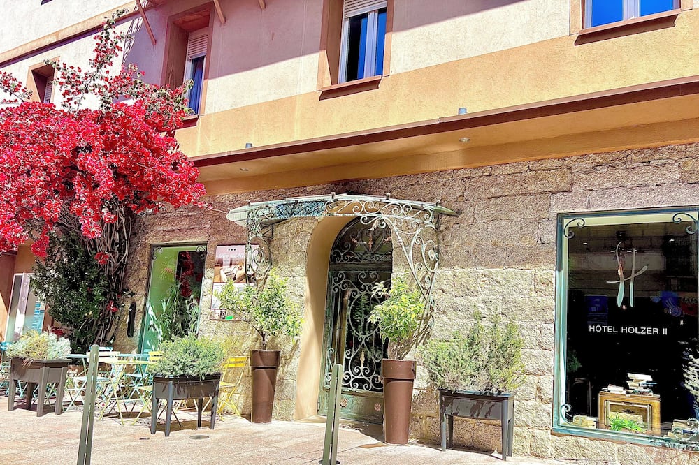 ホルツァー 写真