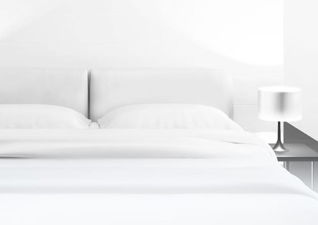 イビス スタイルズ バーゼル-ミュルーズ エアポート 写真