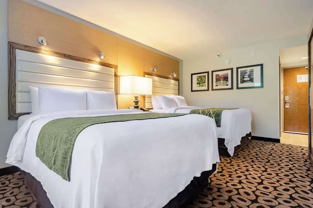 コンフォート イン ローリー ミッドタウン 写真