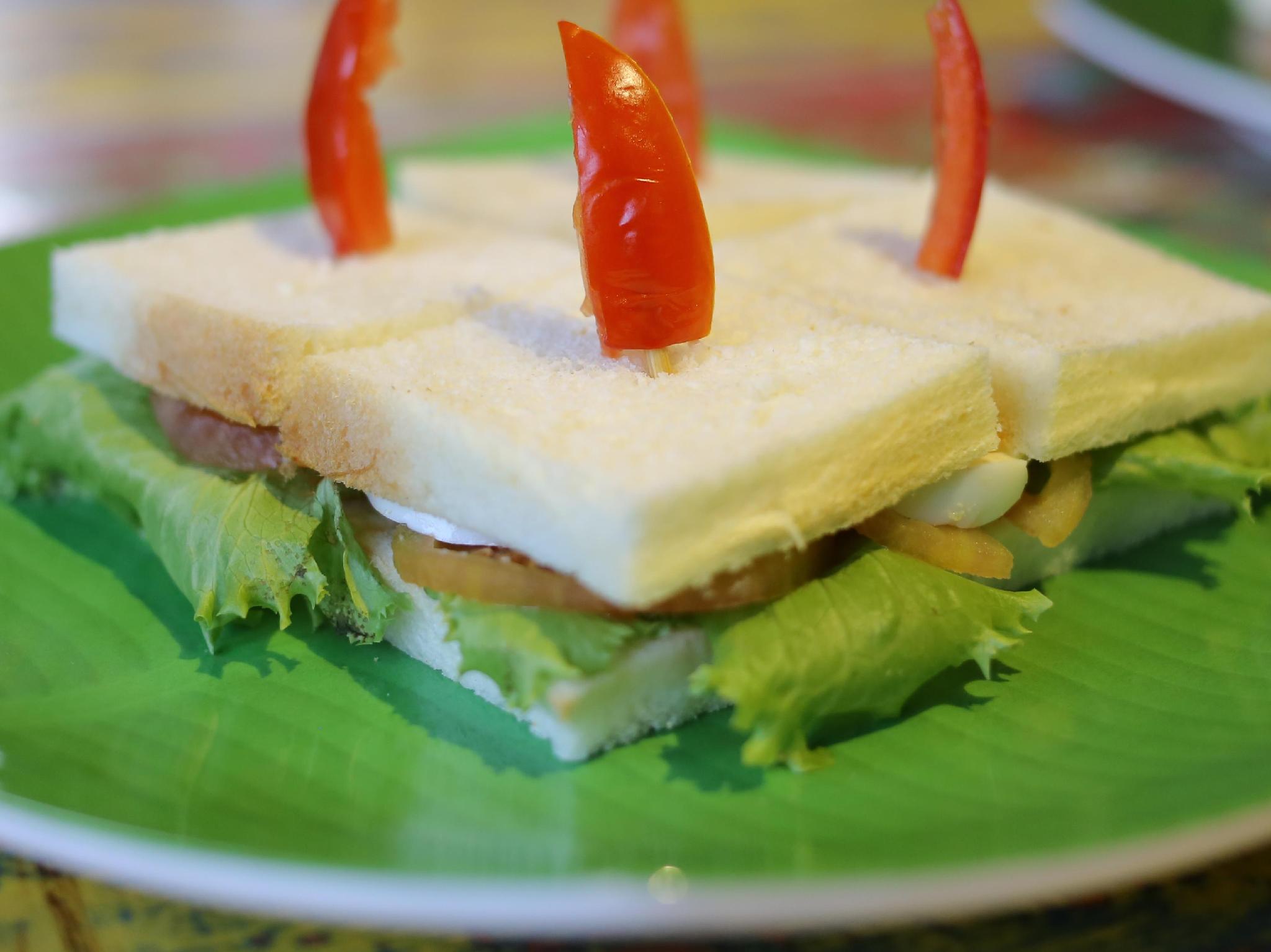 サヌールライハウス 写真