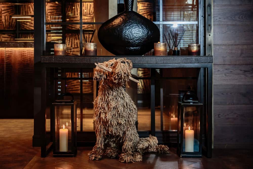 ダコタ リーズ 写真