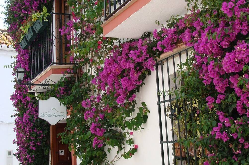 ラ ヴィラ マルベージャ 写真