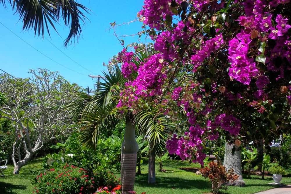 ロイヤル パームス ホテル 写真