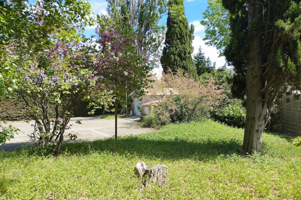 ノエミーズアルル 写真