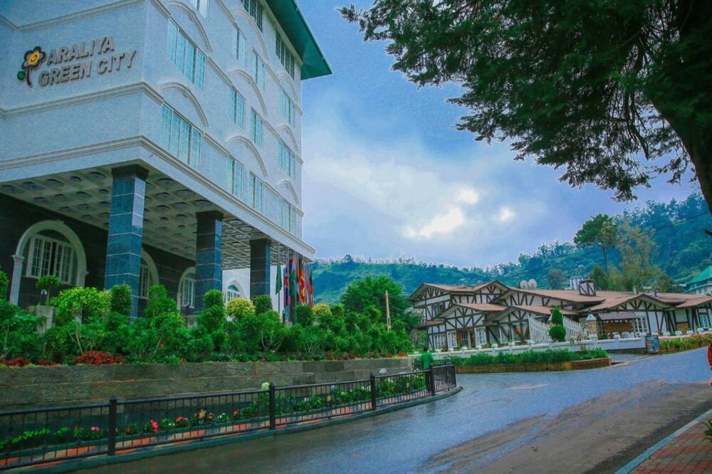 ホテル グレンダウワ 写真