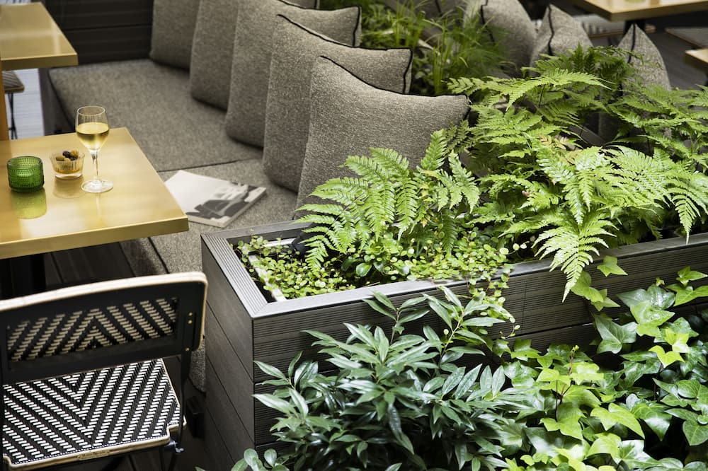 ホテル ドービュッソン 写真