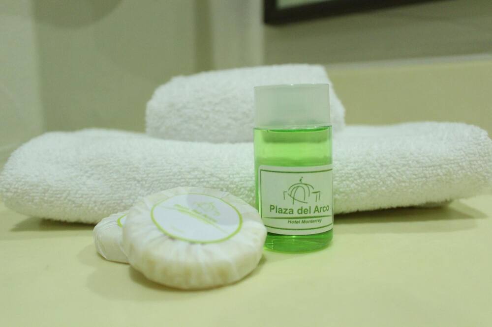 Hotel Plaza del Arco - Monterrey 写真