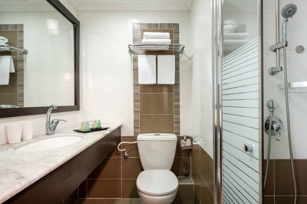 レオナルド イン ホテル デッド シー 写真