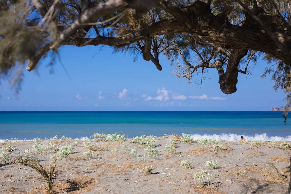 アリアントス エステート リゾート - エクス アリアントス ガーデン 写真