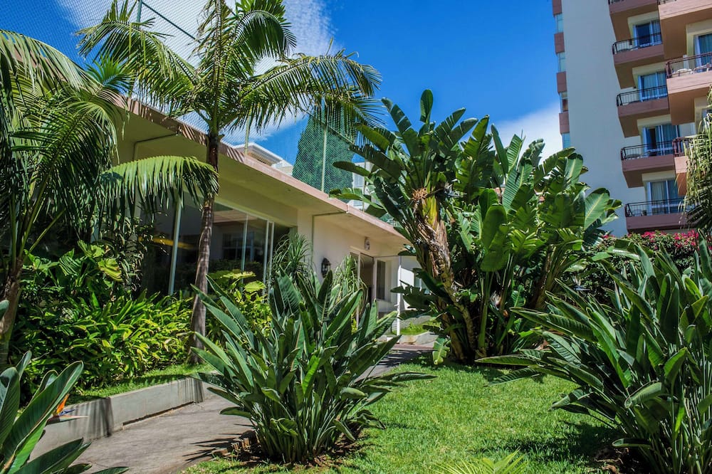 Dorisol Mimosa Studio Hotel 写真