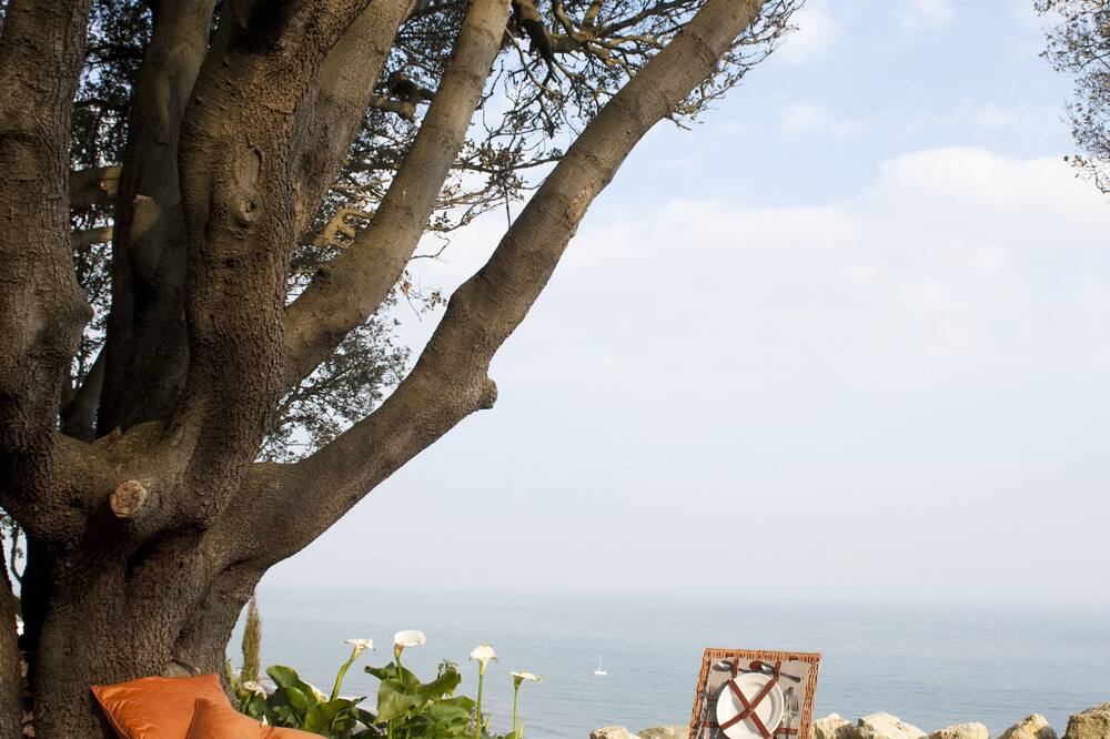 ザ ロイヤル ホテル 写真