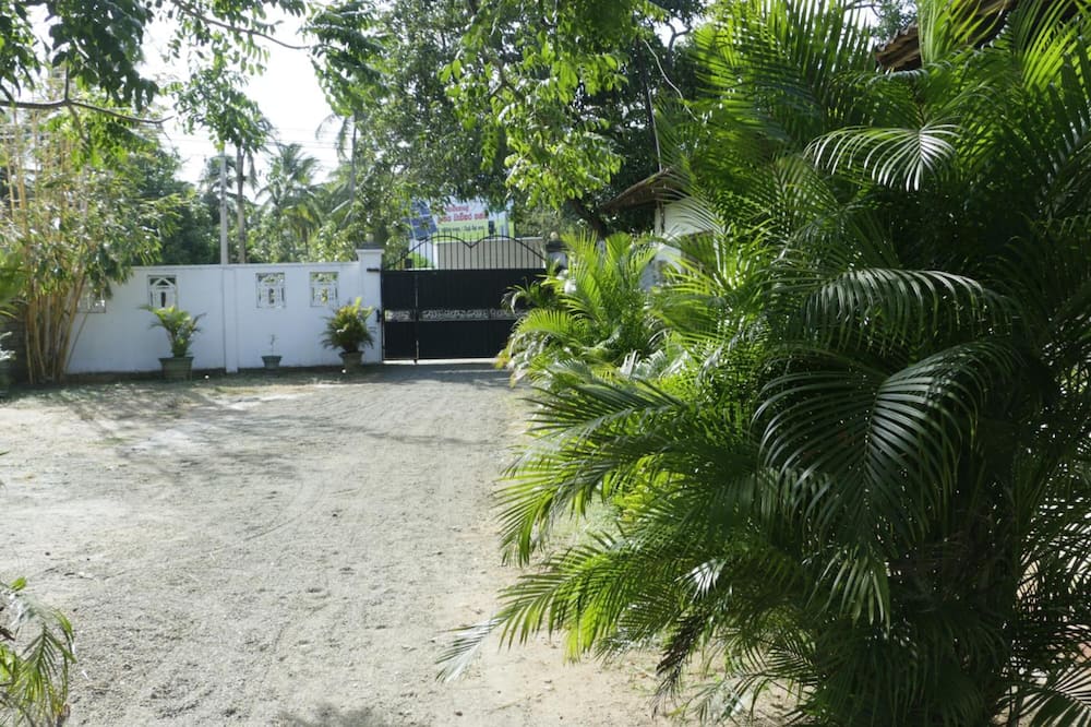 タケシ イン 写真