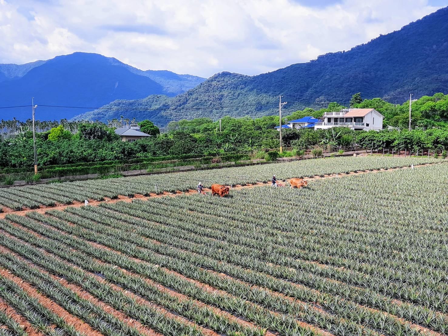 Dalukuan Hot Spring Resort 写真