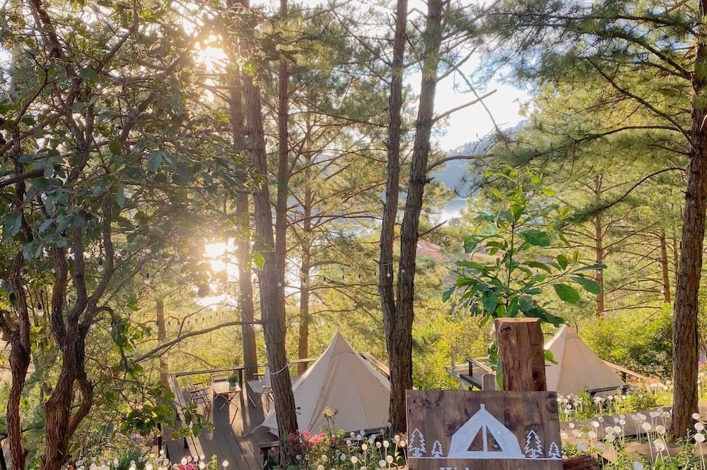 ラベンダーダラット 写真