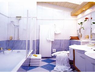 スイス アルピン ホテル アラリン 写真