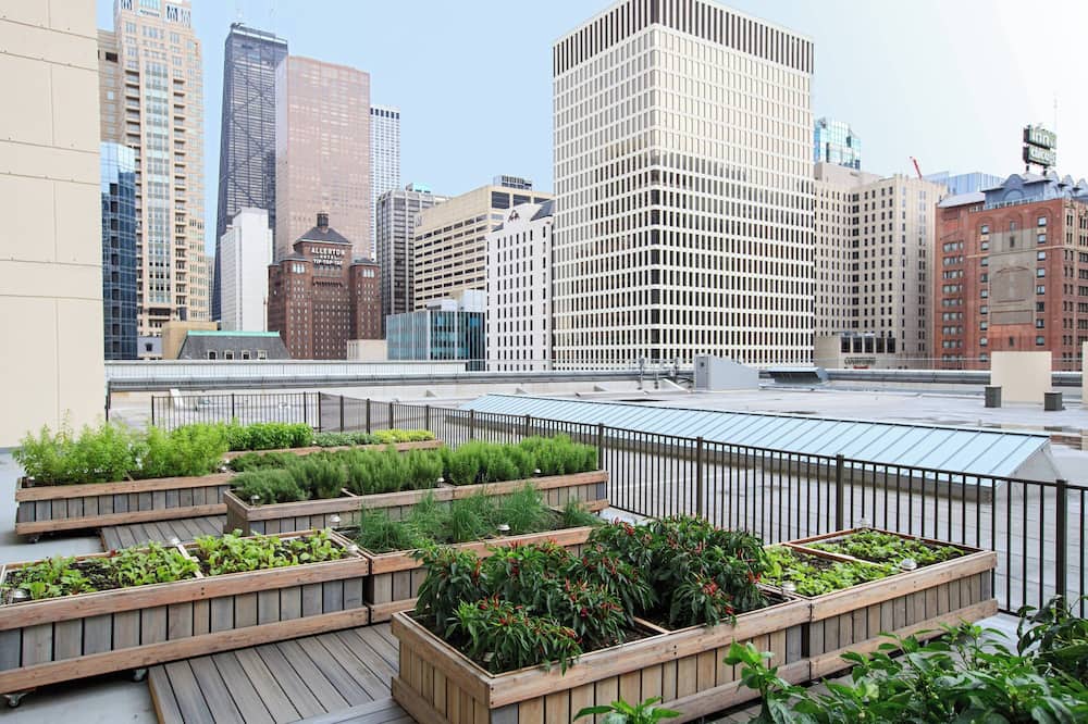 シカゴ マリオット ダウンタウン マグニフィセント マイル 写真